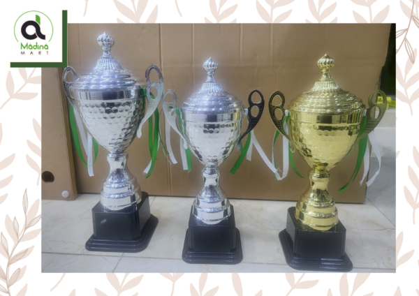 Hand Made Metal Trophy for School or Sports Events