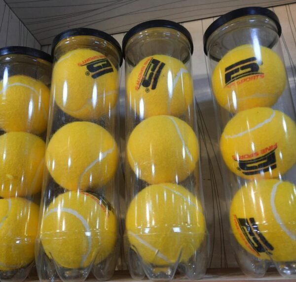 Sports Balls