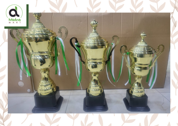 Hand Made Metal Trophy for School or Sports Events