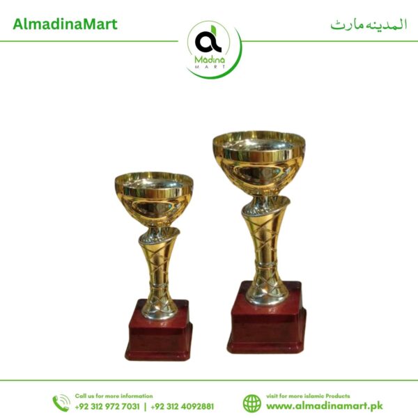 Golden Twin Trophies China Made (Fiber)