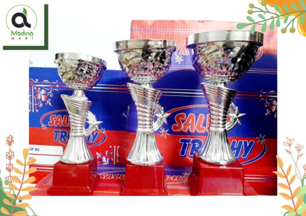 Premium Quality Plastic Trophy