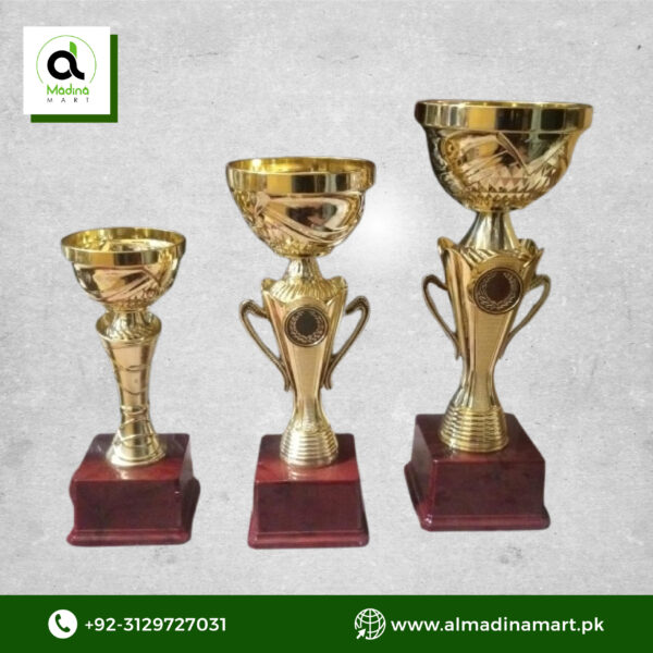 Premium Plastic Trophy Cup