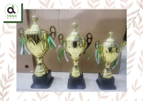 Hand Made Metal Trophy for School or Sports Events