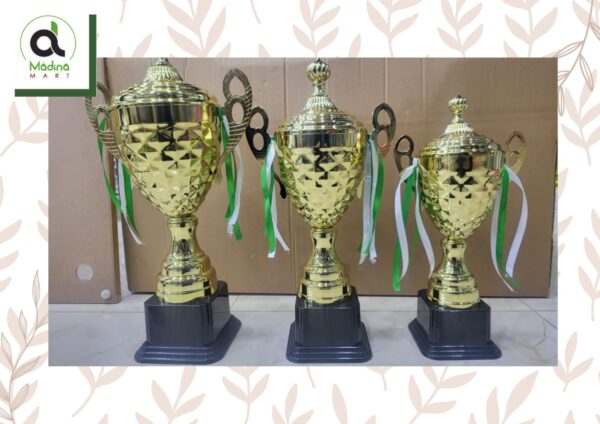 Hand Made Metal Trophy for School or Sports Events